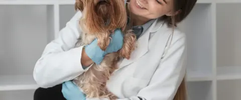 Alumno aprende clínica veterinaria. Empleabilidad garantizada.