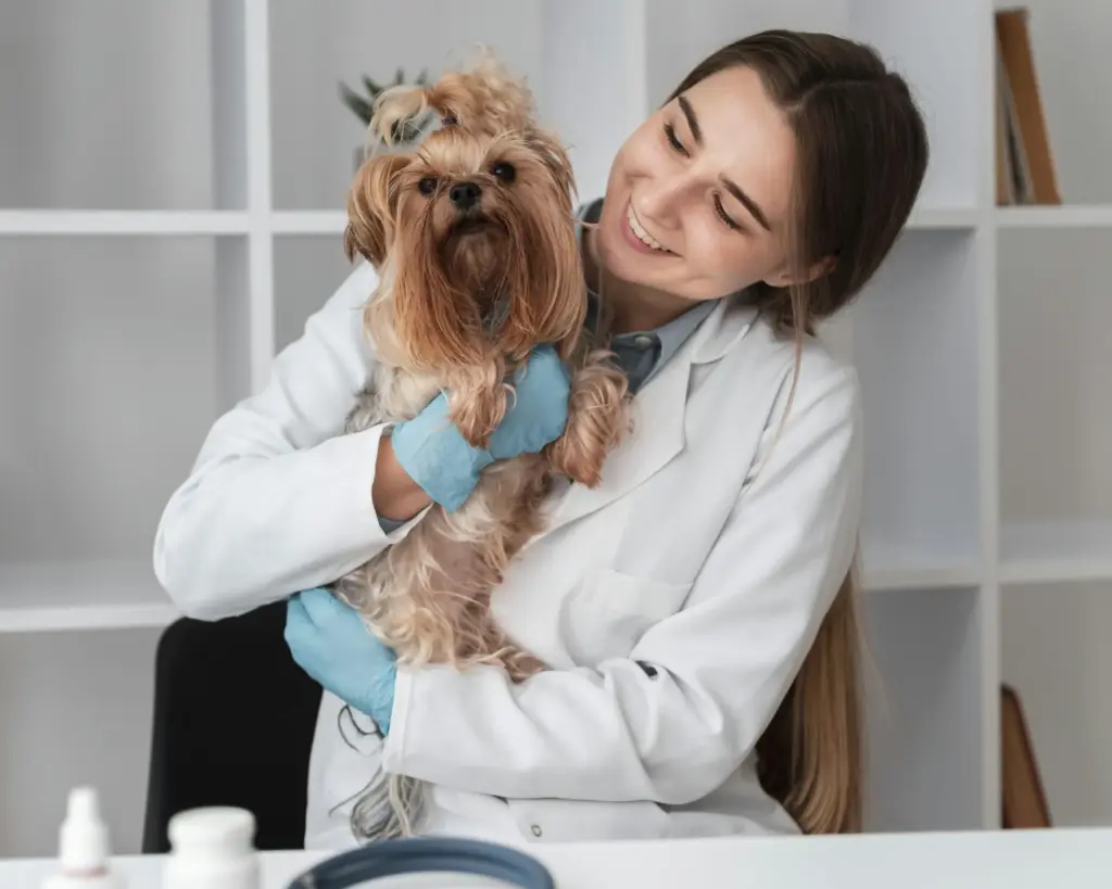 Curso de Asistente y Auxiliar Técnico Veterinario
